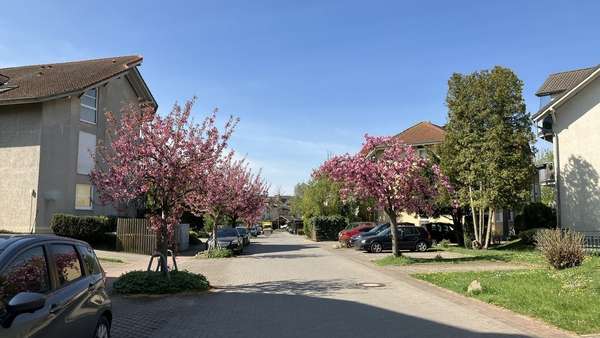Wohnanlage - Etagenwohnung in 39343 Groß Santersleben mit 78m² kaufen
