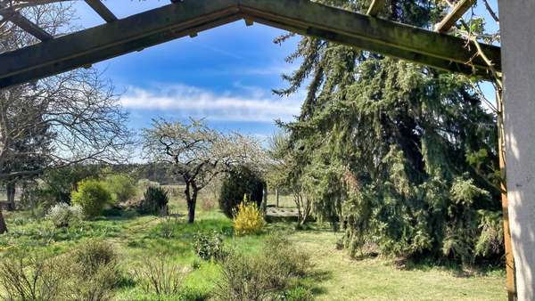 Blick in den Garten - Zweifamilienhaus in 39307 Parchen mit 252m² kaufen