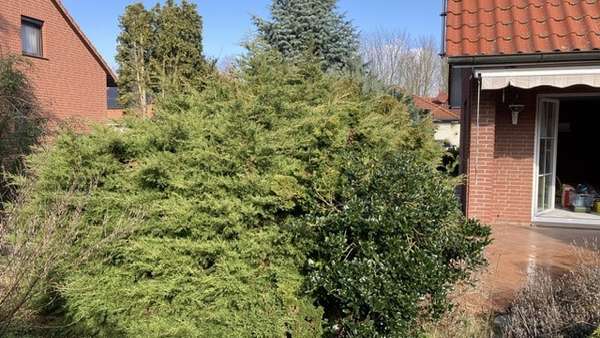 Grundstück seitlich - Einfamilienhaus in 39307 Genthin mit 124m² kaufen
