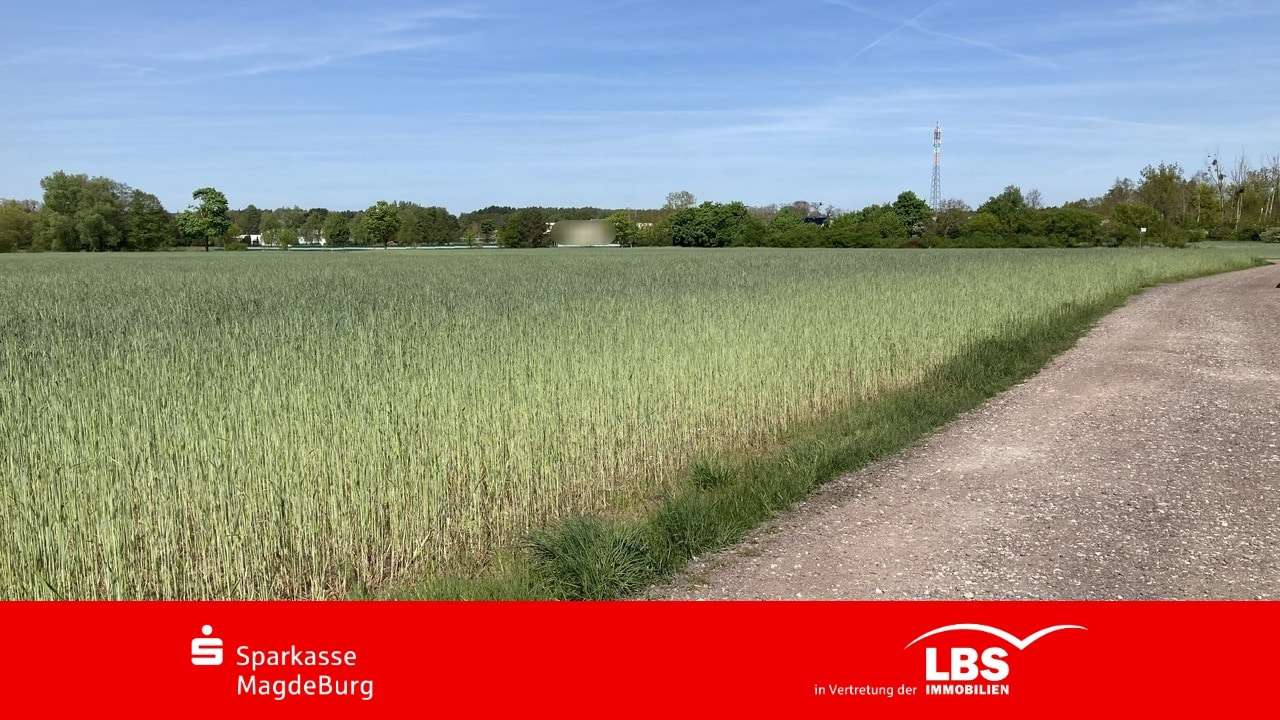 Grundstück in 39291 Schermen mit 26795m² kaufen