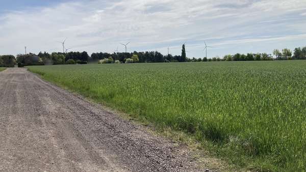Grundstück in 39291 Schermen mit 26795m² kaufen