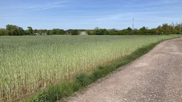 Grundstück in 39291 Schermen mit 26795m² kaufen