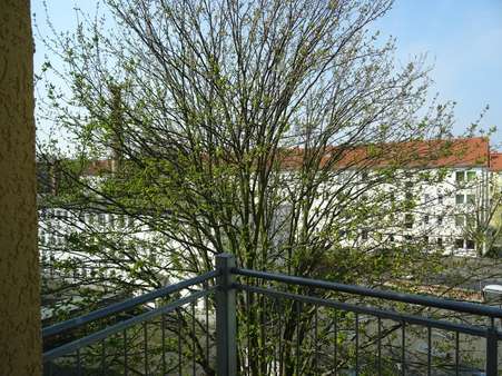 Blick vom Balkon - Mehrfamilienhaus in 39108 Magdeburg mit 538m² kaufen