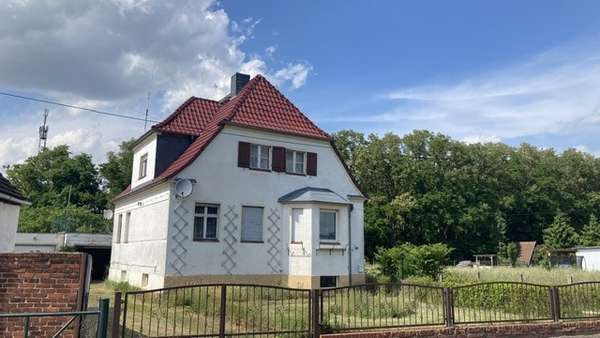 Ansicht von links Ansicht von links - Einfamilienhaus in 39319 Jerichow mit 138m² kaufen