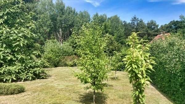 Garten Garten - Bungalow in 39307 Hohenseeden mit 92m² kaufen