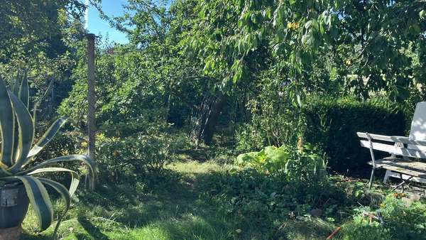 Garten Garten - Doppelhaushälfte in 39128 Magdeburg mit 85m² kaufen