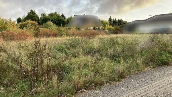 Grundstück in 39291 Nedlitz mit 500m² kaufen