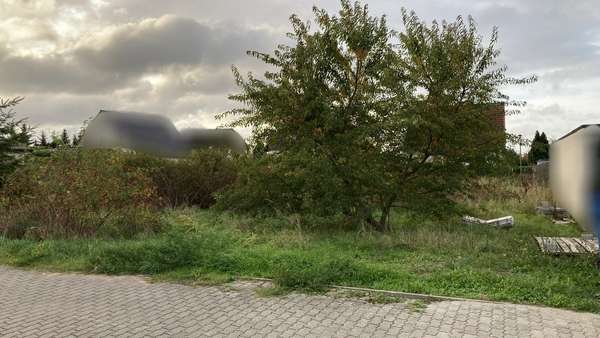 Grundstück in 39291 Nedlitz mit 500m² kaufen