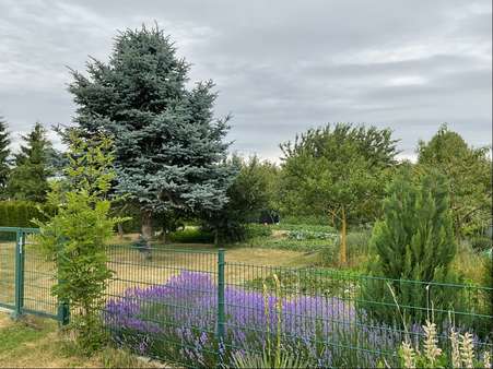 Ansicht 5 Ansicht 5 - Grundstück in 39167 Eichenbarleben mit 806m² kaufen