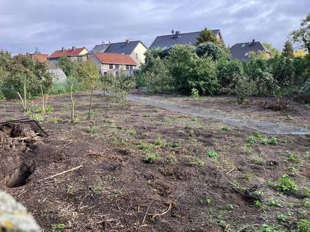 Grundstück Grundstück - Grundstück in 39340 Haldensleben mit 750m² kaufen