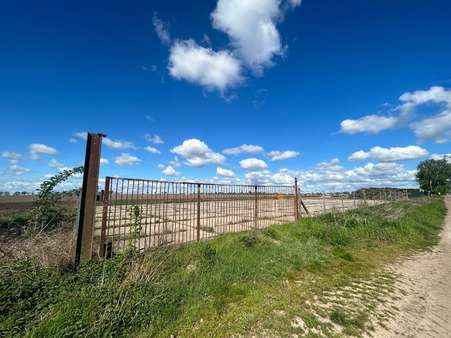 Toreinfahrt - Grundstück in 39164 Wanzleben-Börde mit 1927m² kaufen