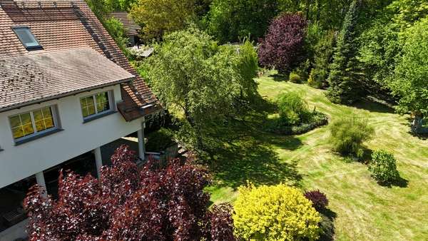 Einfamilienhaus in 99444 Blankenhain mit 214m² kaufen
