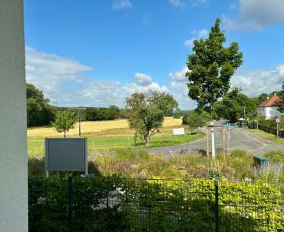 Blick auf die Ilmauslaufwiese Blick auf die Ilmauslaufwiese - Einfamilienhaus in 99425 Weimar mit 123m² kaufen