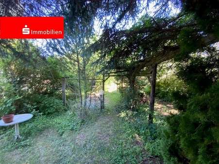 Garten Garten - Einfamilienhaus in 99100 Dachwig mit 116m² kaufen