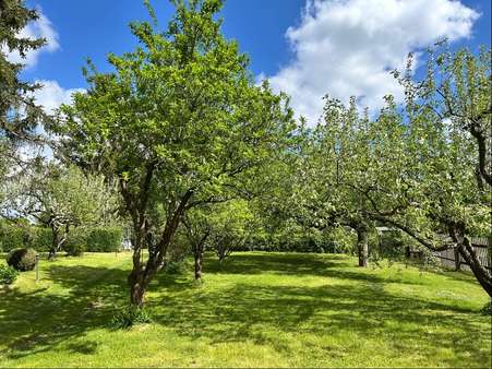 Garten - Haus in 99768 Harztor mit 28m² kaufen