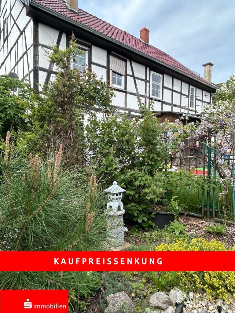 Gartenansicht - Einfamilienhaus in 99706 Sondershausen mit 140m² kaufen