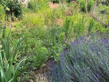 Garten - Einfamilienhaus in 99765 Heringen mit 112m² kaufen
