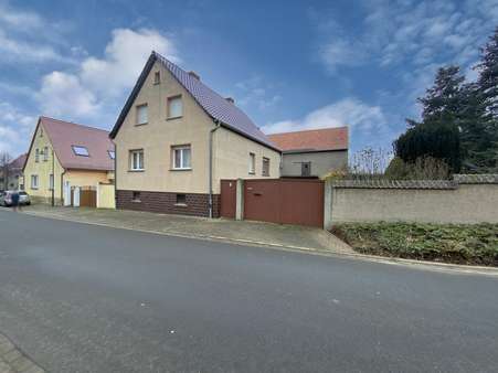Straßenansicht mit Hofeinfahrt - Einfamilienhaus in 06642 Kaiserpfalz mit 145m² kaufen