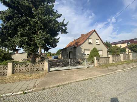 Straßenansicht - Einfamilienhaus in 06577 An der Schmücke mit 95m² kaufen