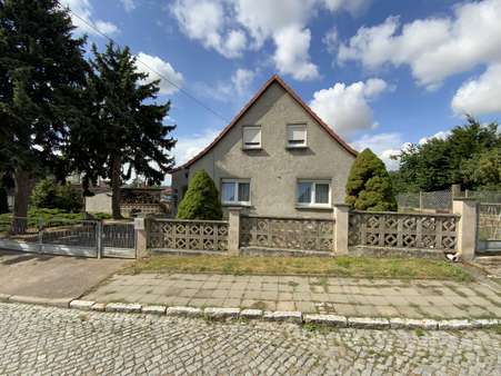 Straßenansicht - Einfamilienhaus in 06577 An der Schmücke mit 95m² kaufen