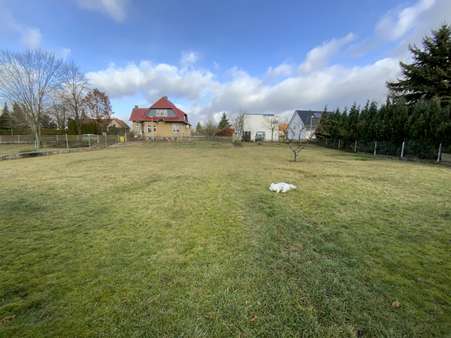 Guter Boden - Grundstück in 99976 Dünwald mit 720m² kaufen