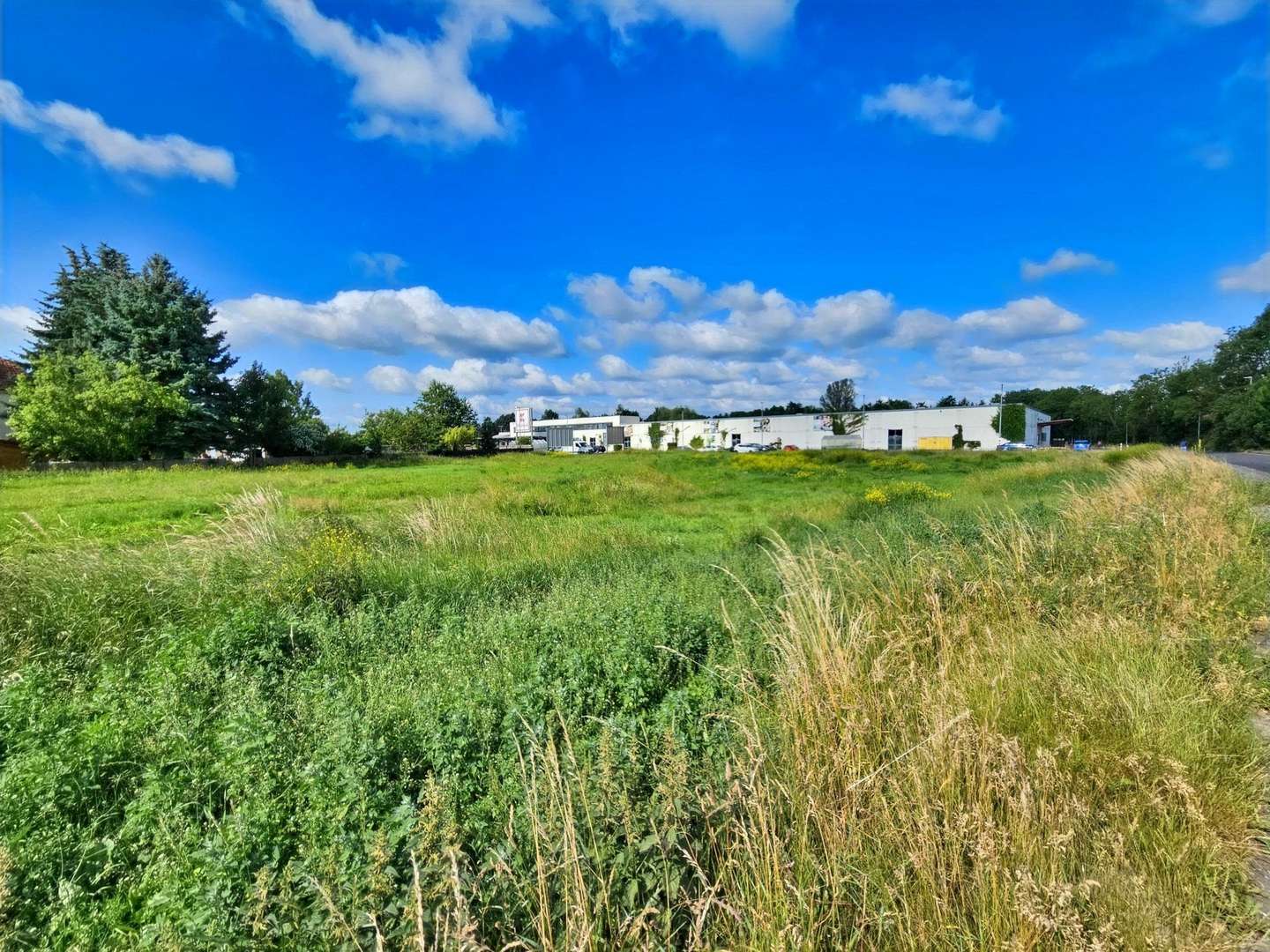 Große Fläche Große Fläche - Grundstück in 99974 Mühlhausen mit 4178m² kaufen