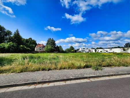 Straßenansicht Straßenansicht - Grundstück in 99974 Mühlhausen mit 4178m² kaufen