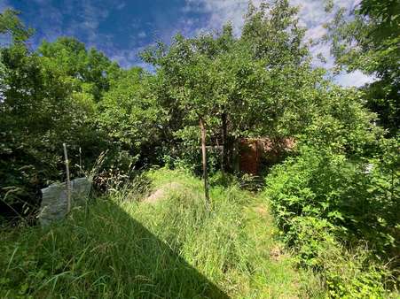 Uriger Garten Uriger Garten - Einfamilienhaus in 99996 Unstruttal mit 100m² kaufen