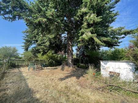 Garten - Grundstück in 07551 Gera mit 625m² kaufen