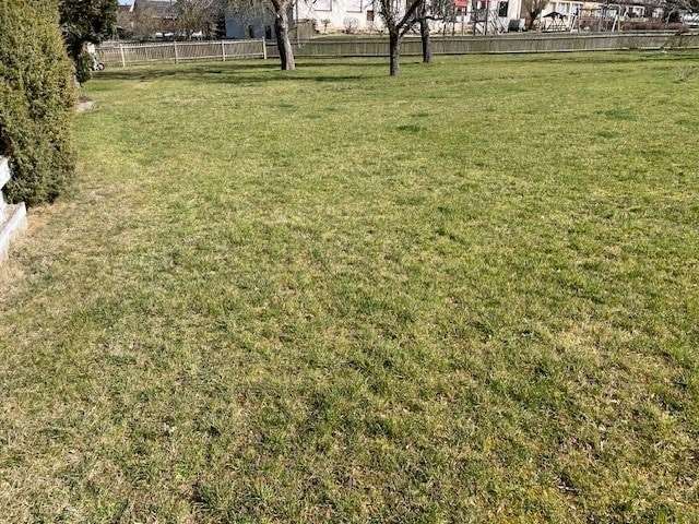 Ansicht - Grundstück in 07958 Hohenleuben mit 619m² kaufen