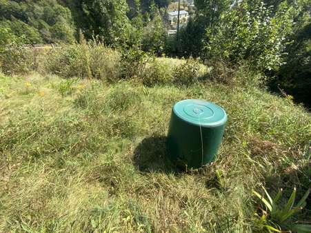 Garten - Grundstück in 07407 Rudolstadt mit 9005m² kaufen