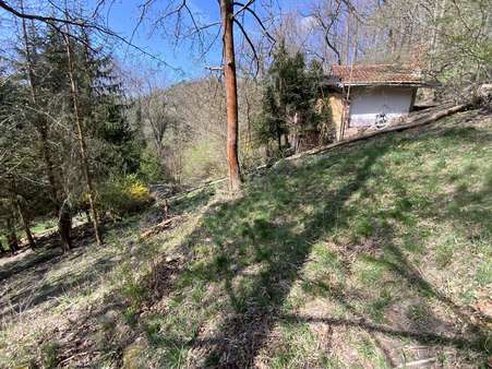 Gartenhaus - Bungalow in 07422 Bad Blankenburg mit 25m² kaufen