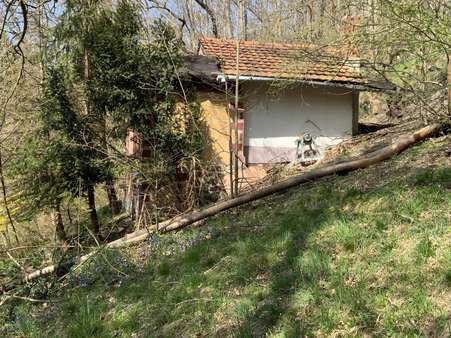 massives Gartenhaus massives Gartenhaus - Bungalow in 07422 Bad Blankenburg mit 25m² kaufen