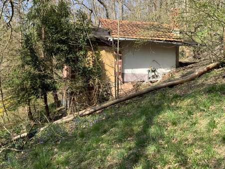 massives Gartenhaus - Bungalow in 07422 Bad Blankenburg mit 25m² kaufen
