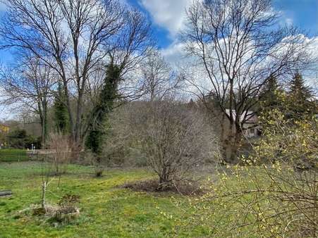 Blick in den weitläufigen Garten - Einfamilienhaus in 99518 Schmiedehausen mit 90m² kaufen