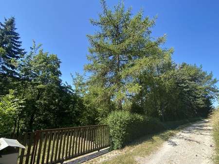 Weg zum Grundstück - Grundstück in 07749 Jena mit 1384m² kaufen
