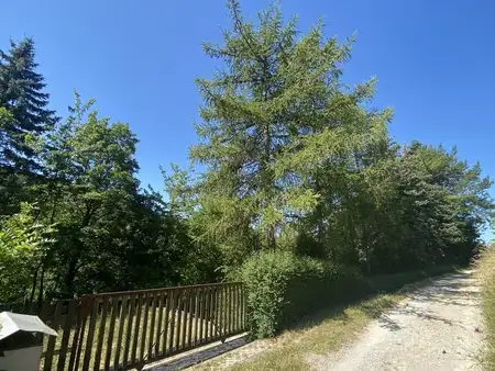 * Entspannen mit Blick ins Grüne am Südhang des Ziegenhainer Tals *