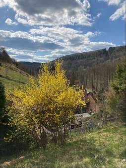 Ausblick vom oberen Gartenbereich - Zweifamilienhaus in 98587 Steinbach-Hallenberg mit 150m² kaufen
