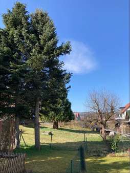 Blick in den Garten - Zweifamilienhaus in 98596 Brotterode-Trusetal mit 100m² kaufen