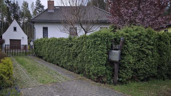 Hausansicht mit Zufahrt - Einfamilienhaus in 02943 Weißwasser mit 77m² kaufen