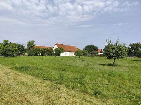 große Wiese - Einfamilienhaus in 02929 Rothenburg mit 60m² kaufen