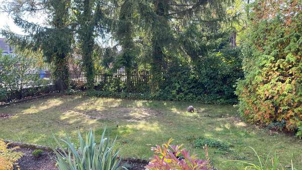 Garten Garten - Einfamilienhaus in 02929 Rothenburg mit 207m² kaufen