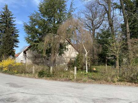 Ansicht Giebel - Doppelhaushälfte in 02906 Niesky mit 65m² kaufen