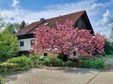 Straßenansicht - Bürohaus in 02906 Waldhufen mit 93m² kaufen