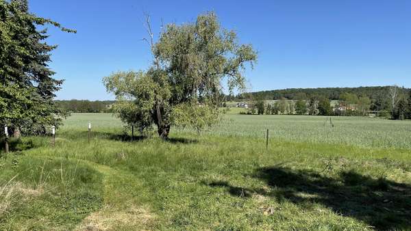 Blick in die unberührte Natur - Zweifamilienhaus in 01920 Oßling mit 270m² kaufen