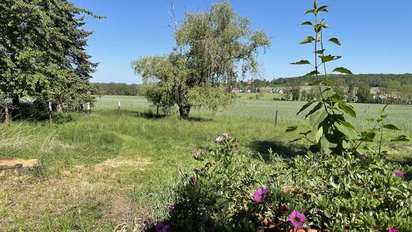 Blick in die unberührte Natur - Zweifamilienhaus in 01920 Oßling mit 270m² kaufen