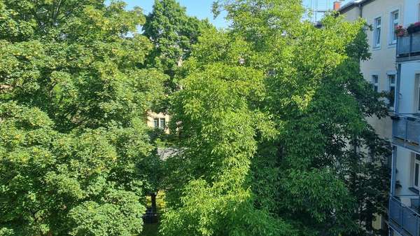 Blick vom Balkon Blick vom Balkon - Etagenwohnung in 01159 Dresden mit 43m² kaufen
