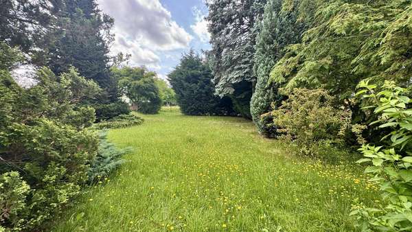 Garten vor dem Gebäude Garten vor dem Gebäude - Einfamilienhaus in 01328 Dresden mit 111m² kaufen