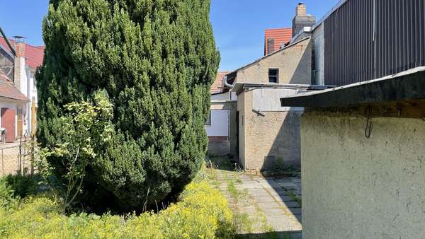 Garten Garten - Einfamilienhaus in 02997 Wittichenau mit 69m² kaufen