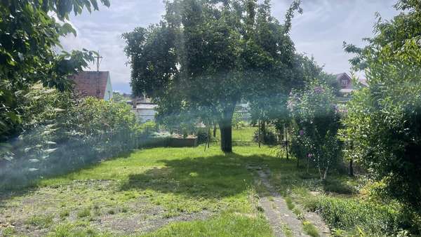 Garten Garten - Reihenmittelhaus in 02997 Wittichenau mit 130m² kaufen